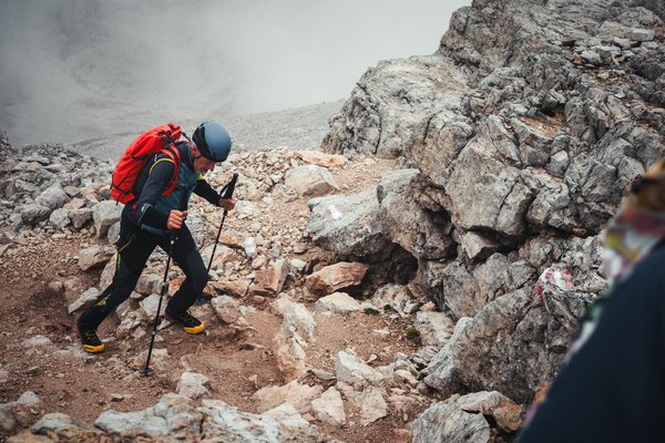 Comment organiser une expédition pour observer les manchots royaux en Antarctique?